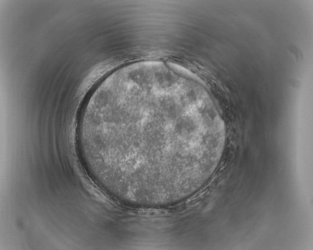 X0000110980242200907171737