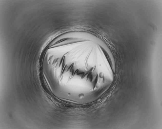 X0000110980244200907171737