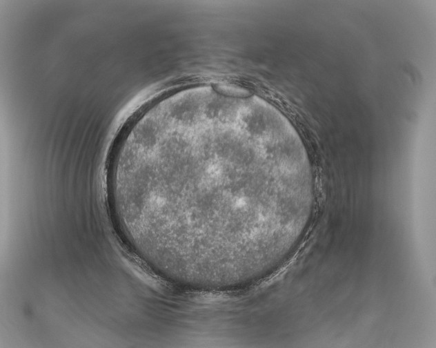 X0000110980246200907171737