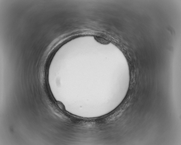 X0000110980247200907171737