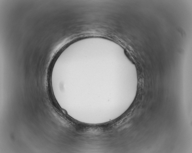 X0000110980248200907171737
