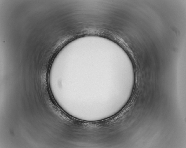 X0000110980249200907171737