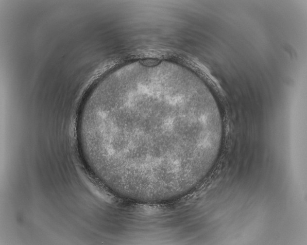 X0000110980250200907171737