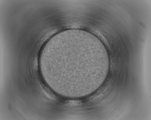 X0000110980251200907171737