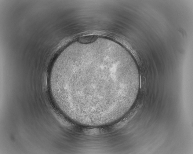 X0000110980253200907171737