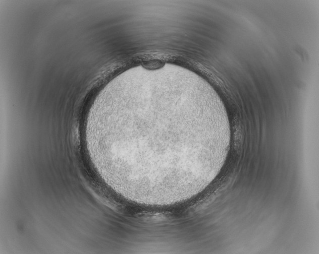 X0000110980254200907171737