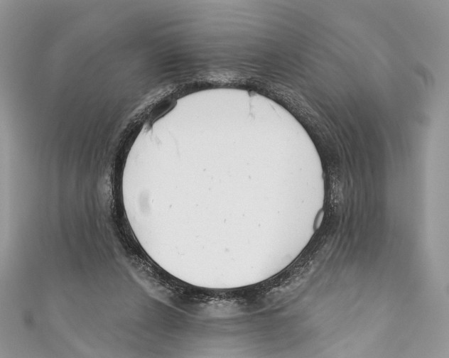 X0000110980256200907171737