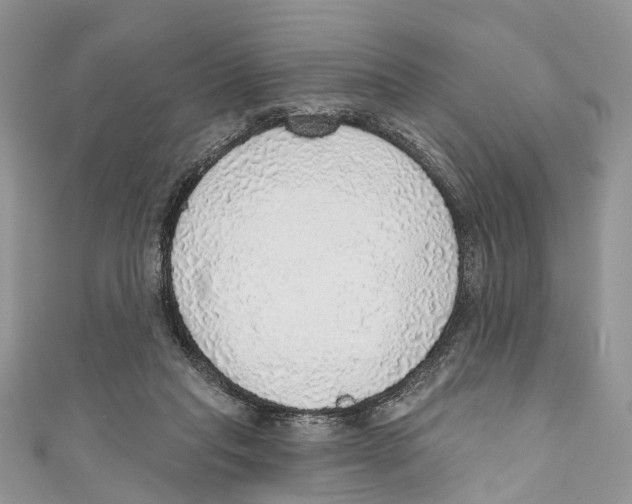 X0000110980261200907171737