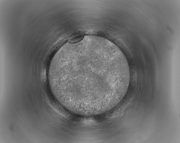 X0000110980262200907171737