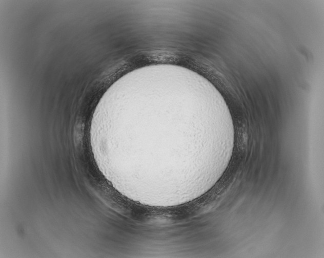X0000110980263200907171737