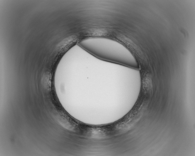 X0000110980264200907171737