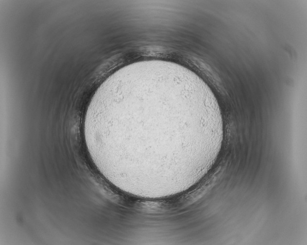 X0000110980265200907171737