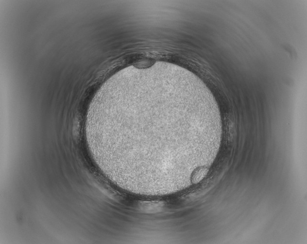 X0000110980266200907171737