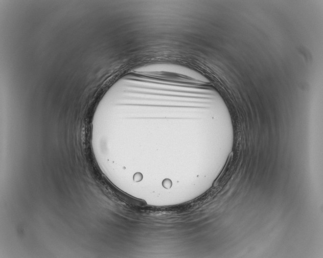 X0000110980268200907171737
