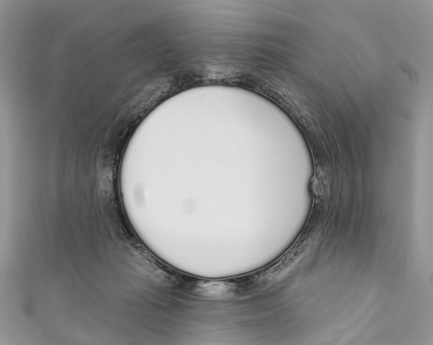 X0000110980269200907171737