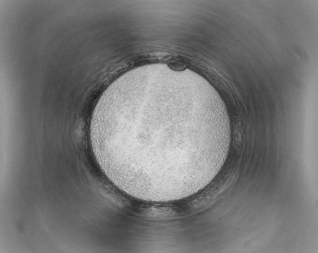 X0000110980270200907171737