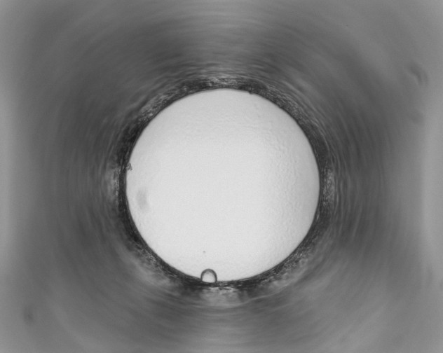 X0000110980271200907171737