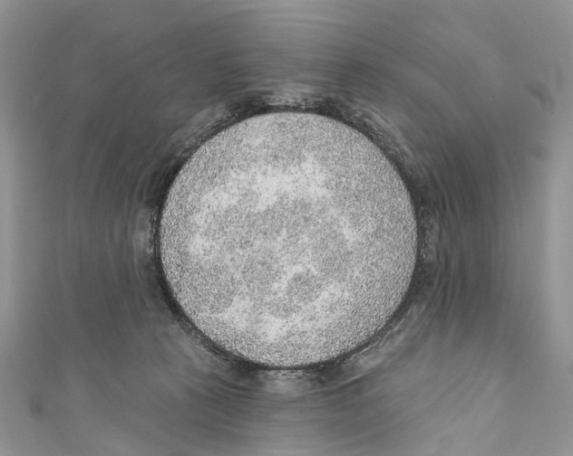 X0000110980273200907171737