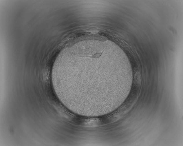X0000110980274200907171737