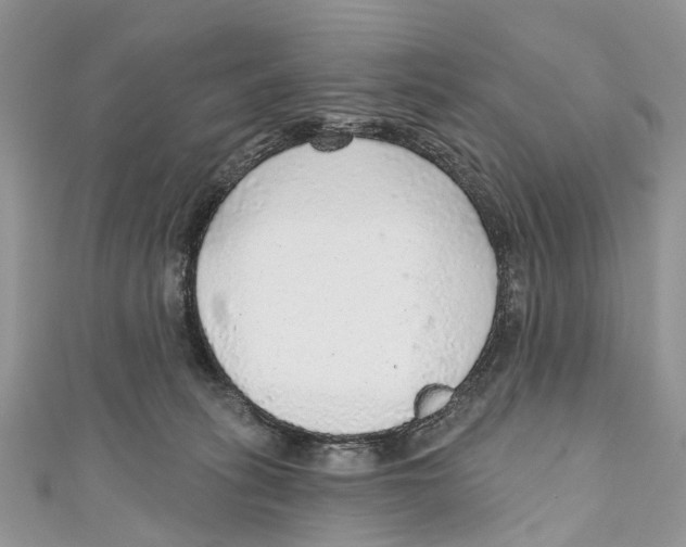 X0000110980275200907171737