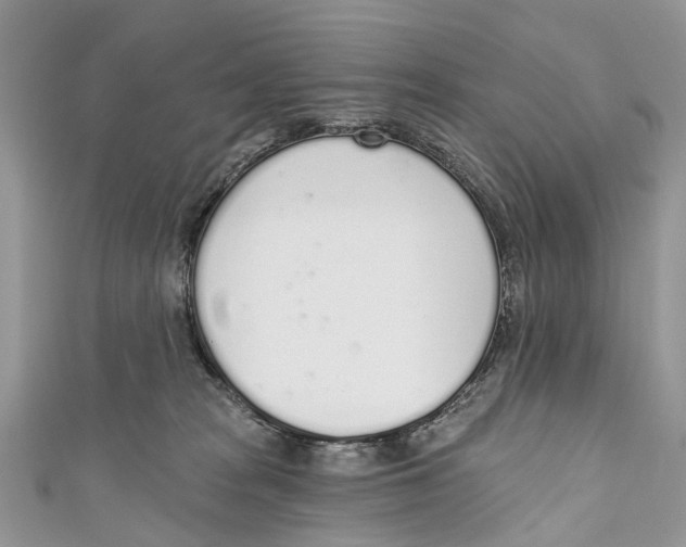 X0000110980277200907171737