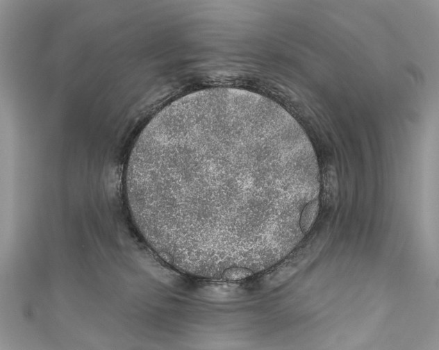 X0000110980278200907171737