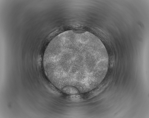 X0000110980279200907171737