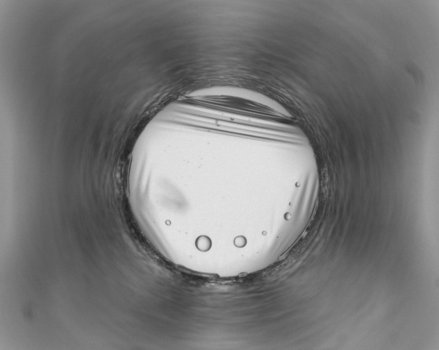 X0000110980280200907171737