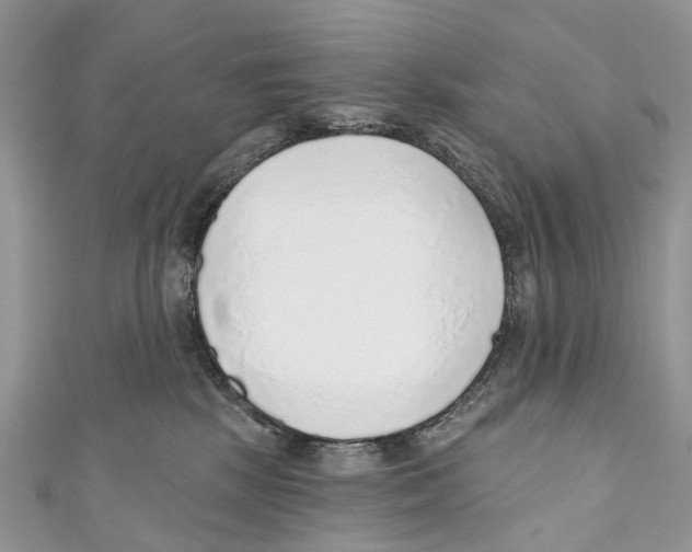 X0000110980281200907171737