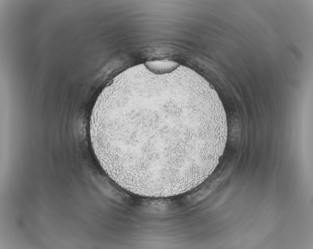 X0000110980282200907171738