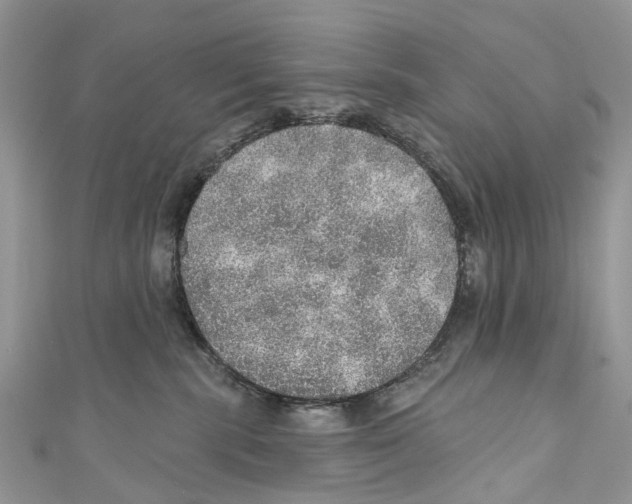 X0000110980283200907171738