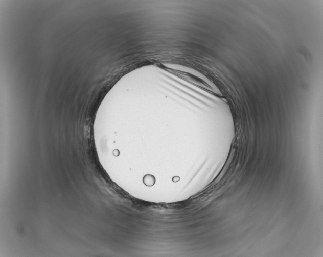 X0000110980284200907171738