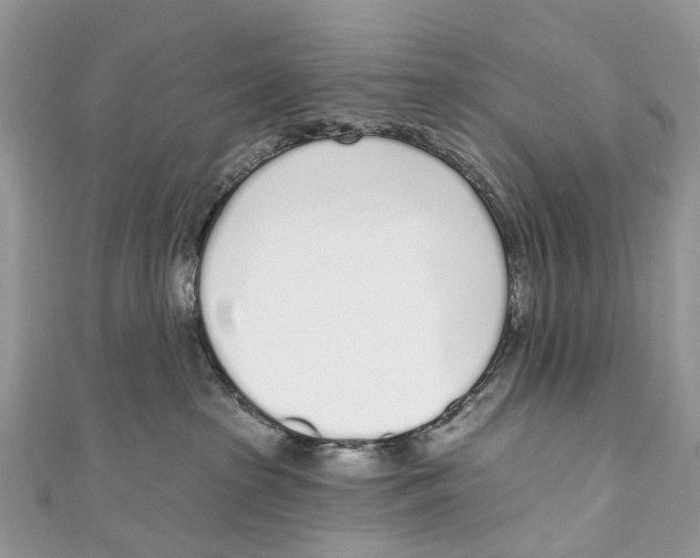 X0000110980285200907171738