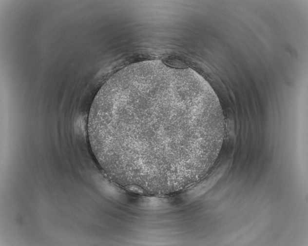 X0000110980286200907171738