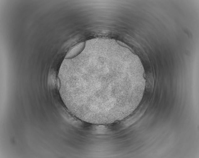 X0000110980287200907171738