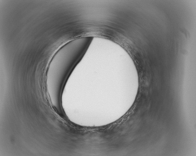X0000110980289200907171737