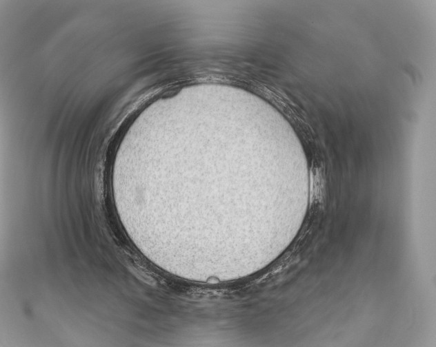 X0000110980291200907171737