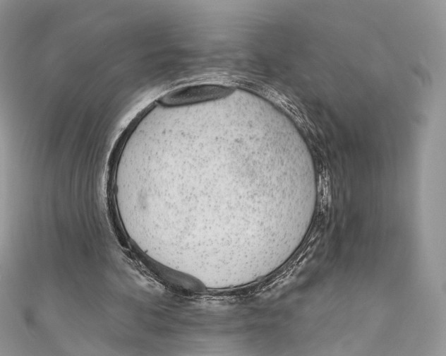 X0000110980292200907171737