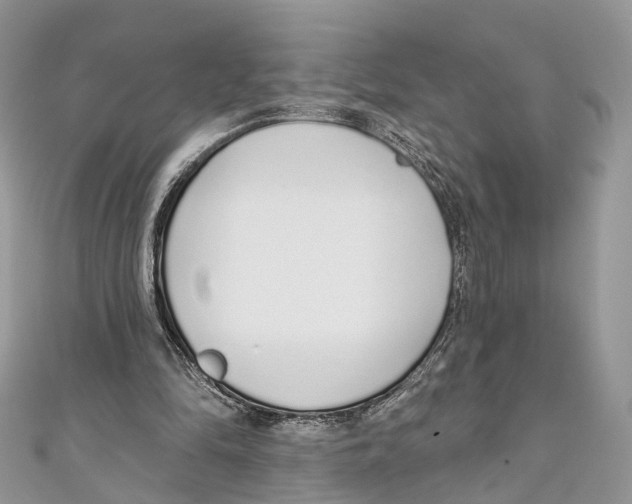 X0000110980294200907171737