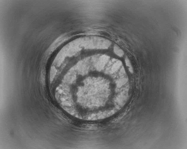 X0000110980295200907171737