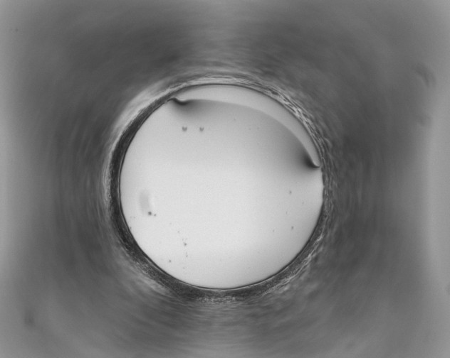 X0000110980296200907171737