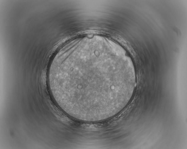 X0000110980297200907171737