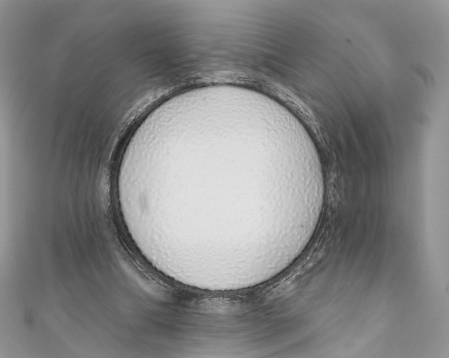 X0000110980298200907171737