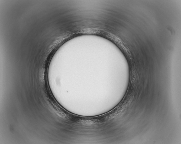 X0000110980299200907171737