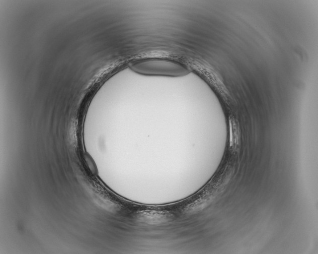 X0000110980300200907171737