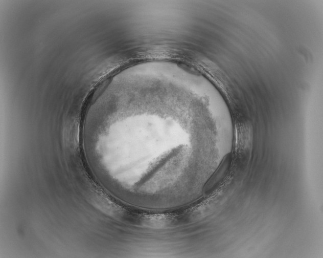 X0000110980301200907171737
