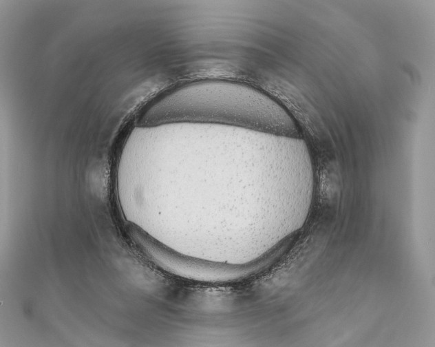 X0000110980304200907171737