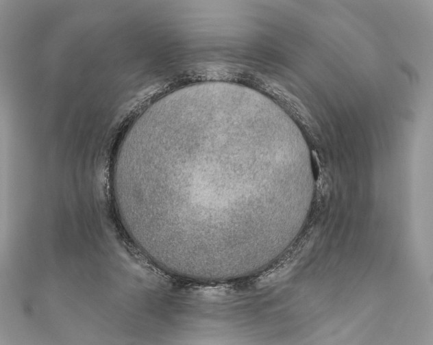 X0000110980306200907171737