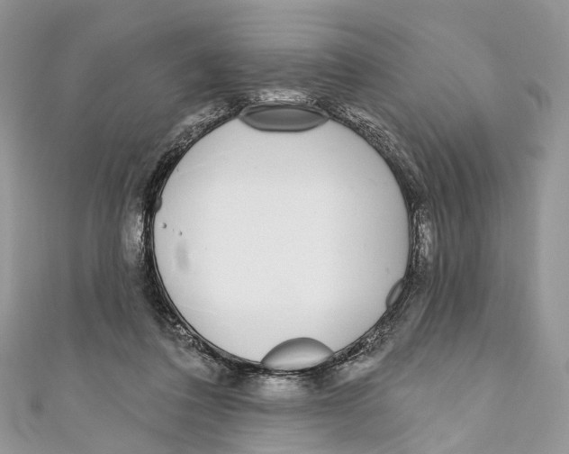X0000110980308200907171737