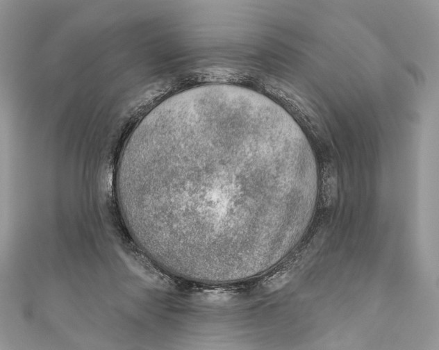 X0000110980310200907171737